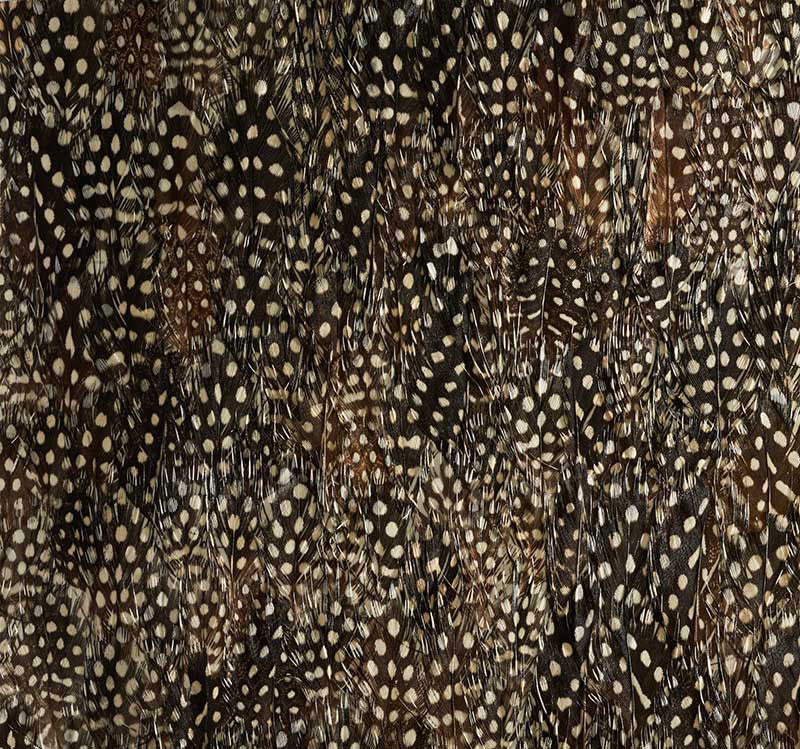 Schumacher | Krypton wallcovering - 5008390