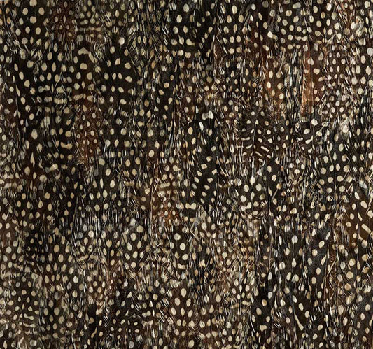 Schumacher | Krypton wallcovering - 5008390