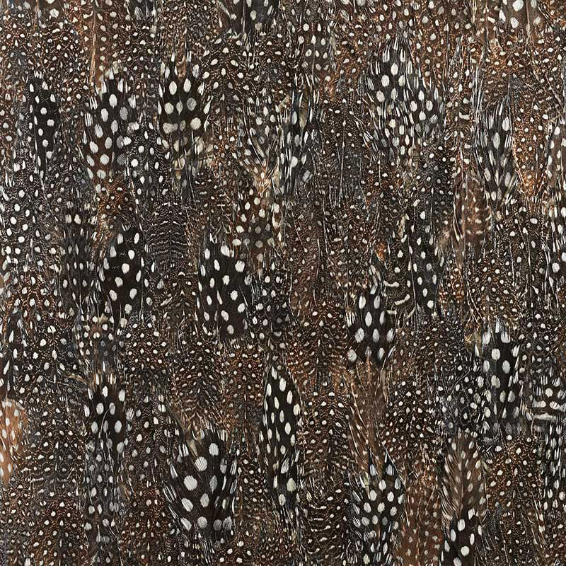Schumacher | Graphite wallcovering - 5008391