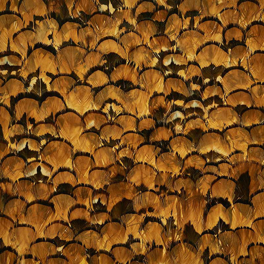 Schumacher | Limonite wallcovering - 5008392