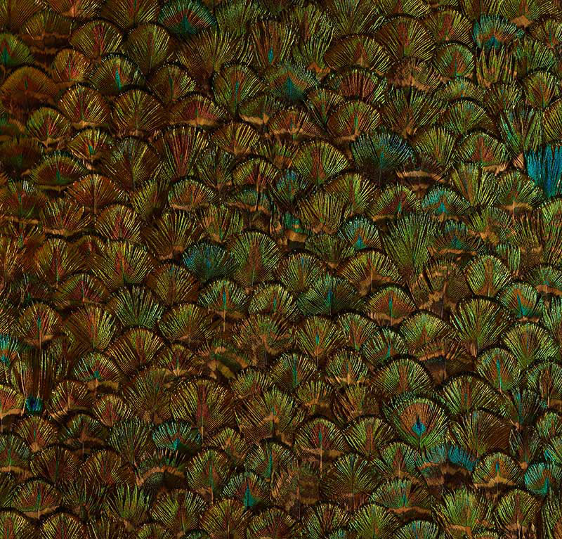 Schumacher | Peridot wallcovering - 5008396
