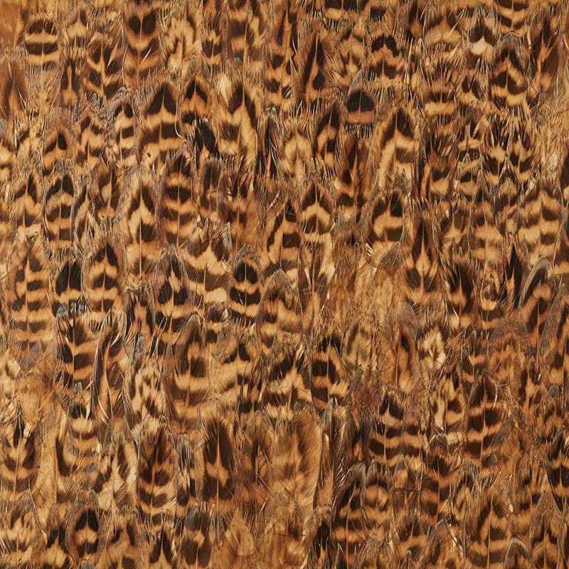 Schumacher | Umber wallcovering - 5008403