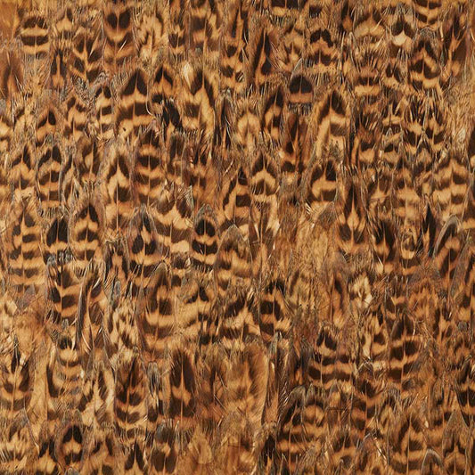 Schumacher | Umber wallcovering - 5008403