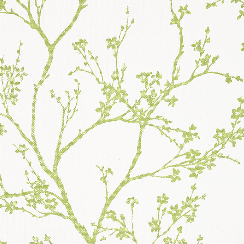 Schumacher | Twiggy Paperweave wallcovering - 5008941
