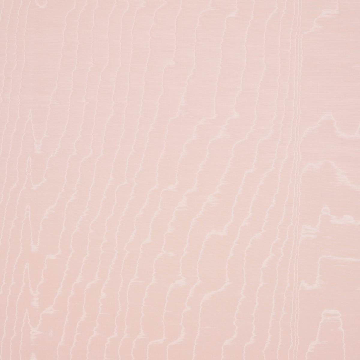Schumacher | Moiré Wallcovering wallcovering - 5009675