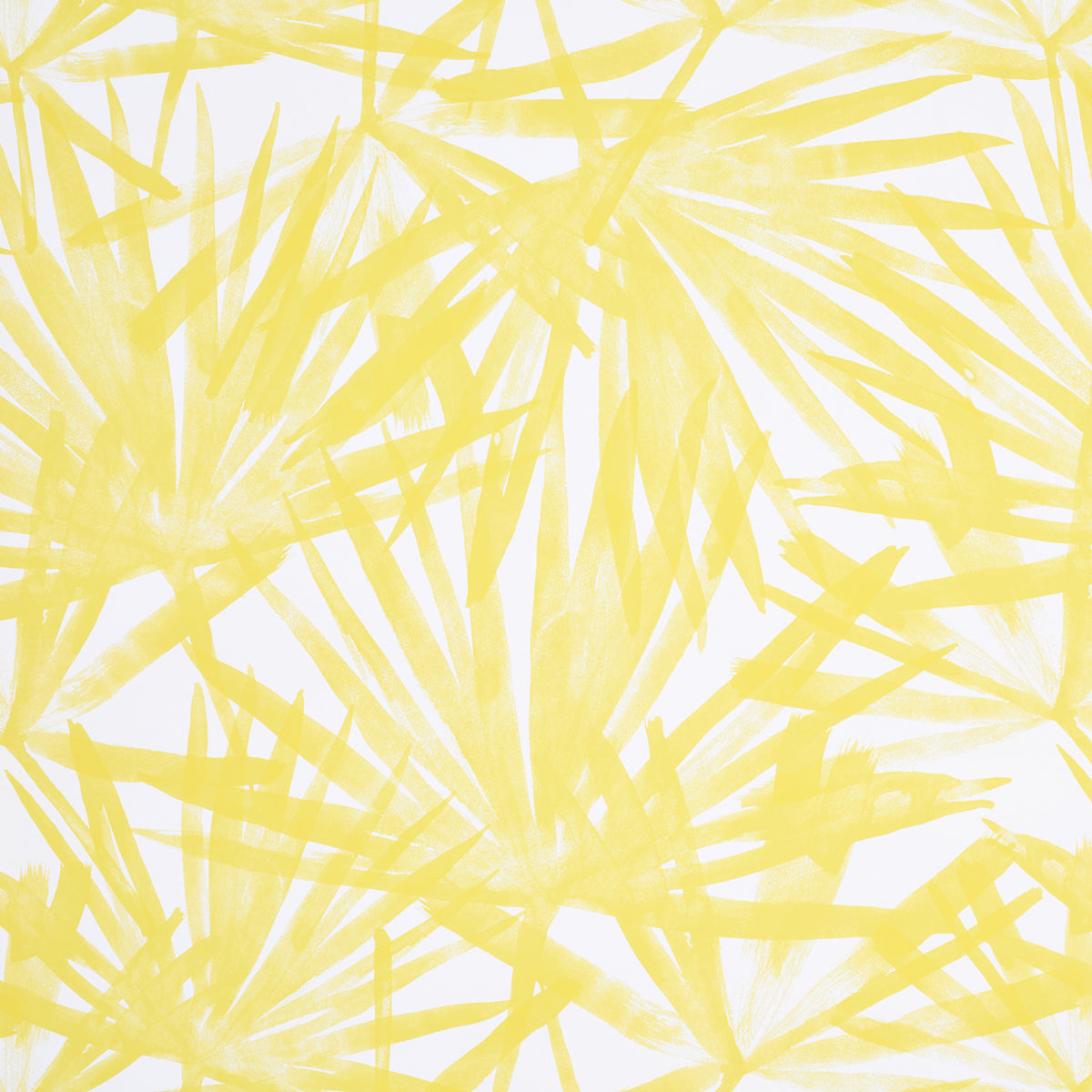 Schumacher | Sunlit Palm wallcovering - 5010561