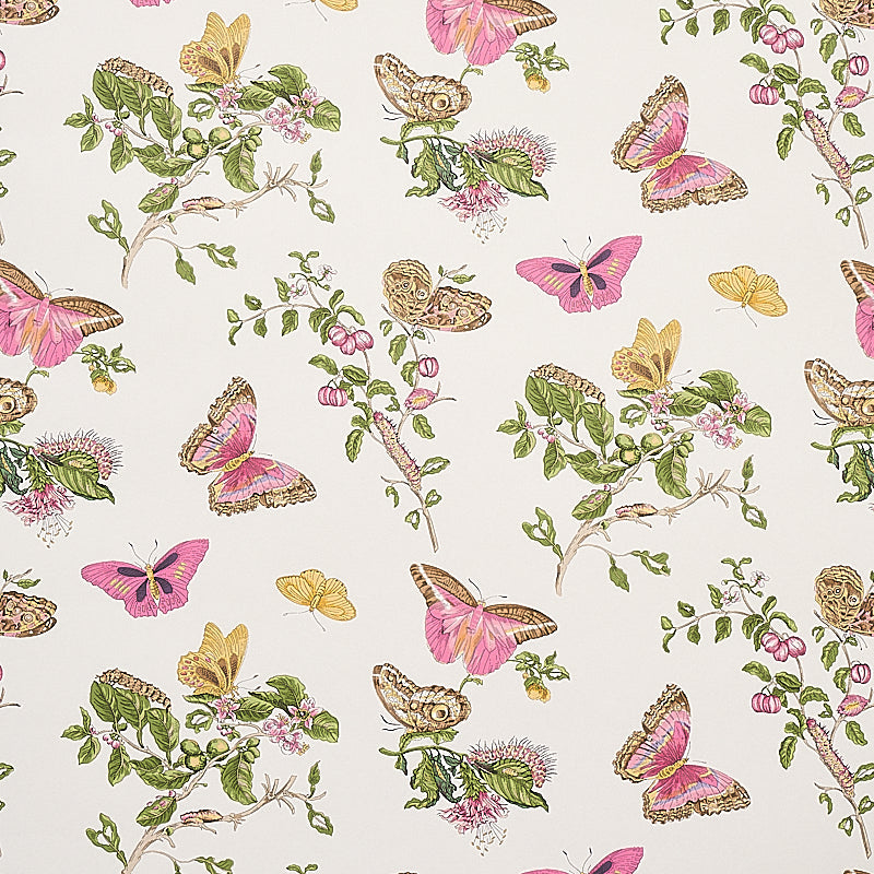 Schumacher | Baudin Butterfly wallcovering - 5010690
