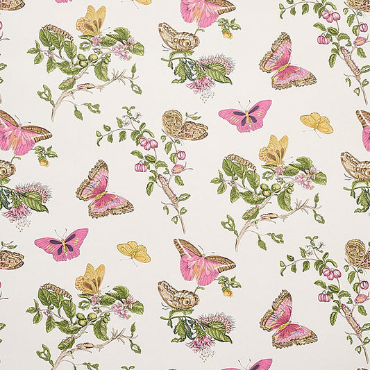 Schumacher | Baudin Butterfly wallcovering - 5010690
