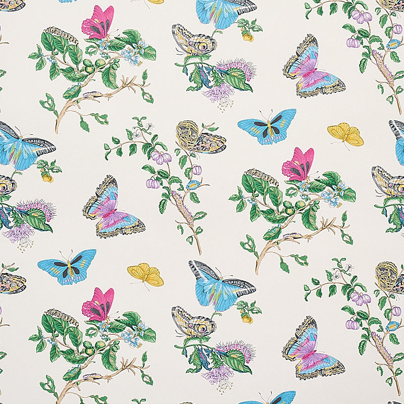 Schumacher | Baudin Butterfly wallcovering - 5010691