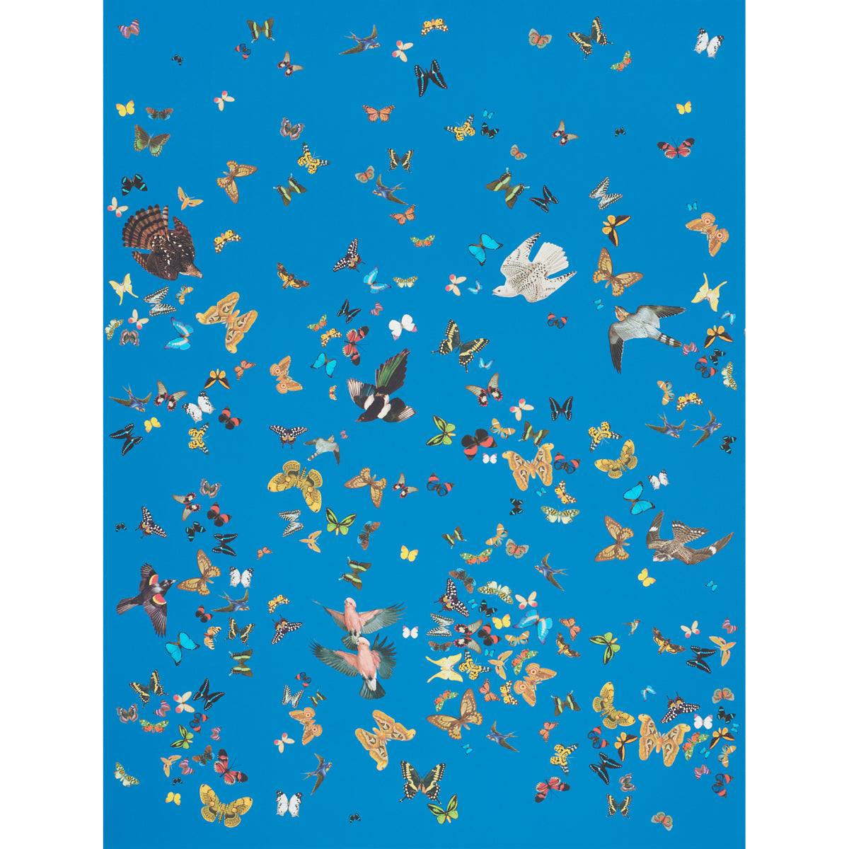 Schumacher | Queen's Flight Panel Set wallcovering - 5010861