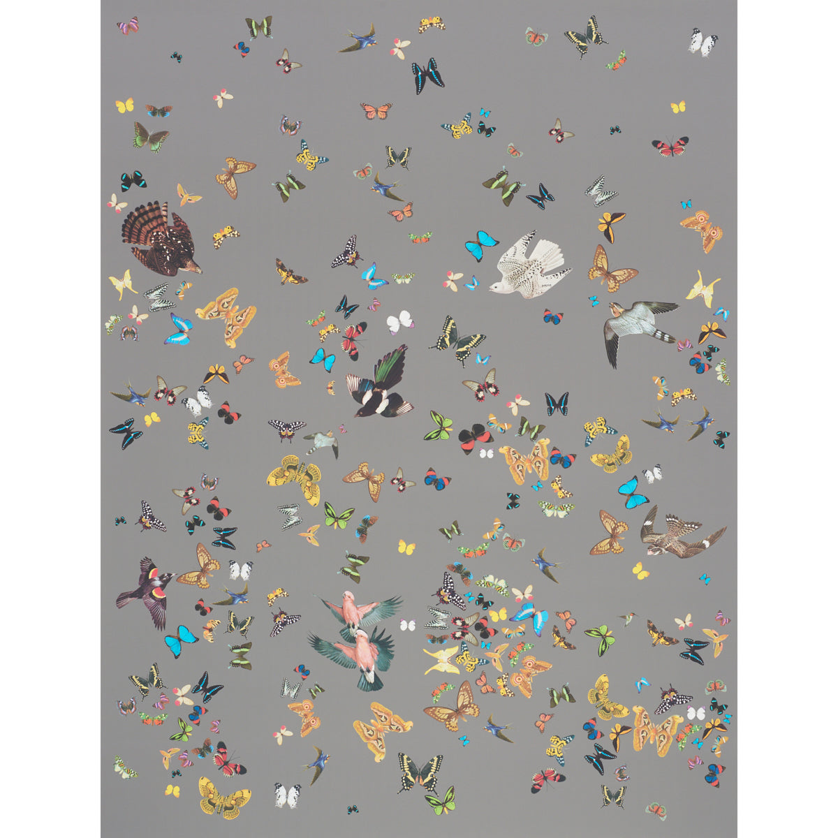 Schumacher | Queen's Flight Panel Set wallcovering - 5010862