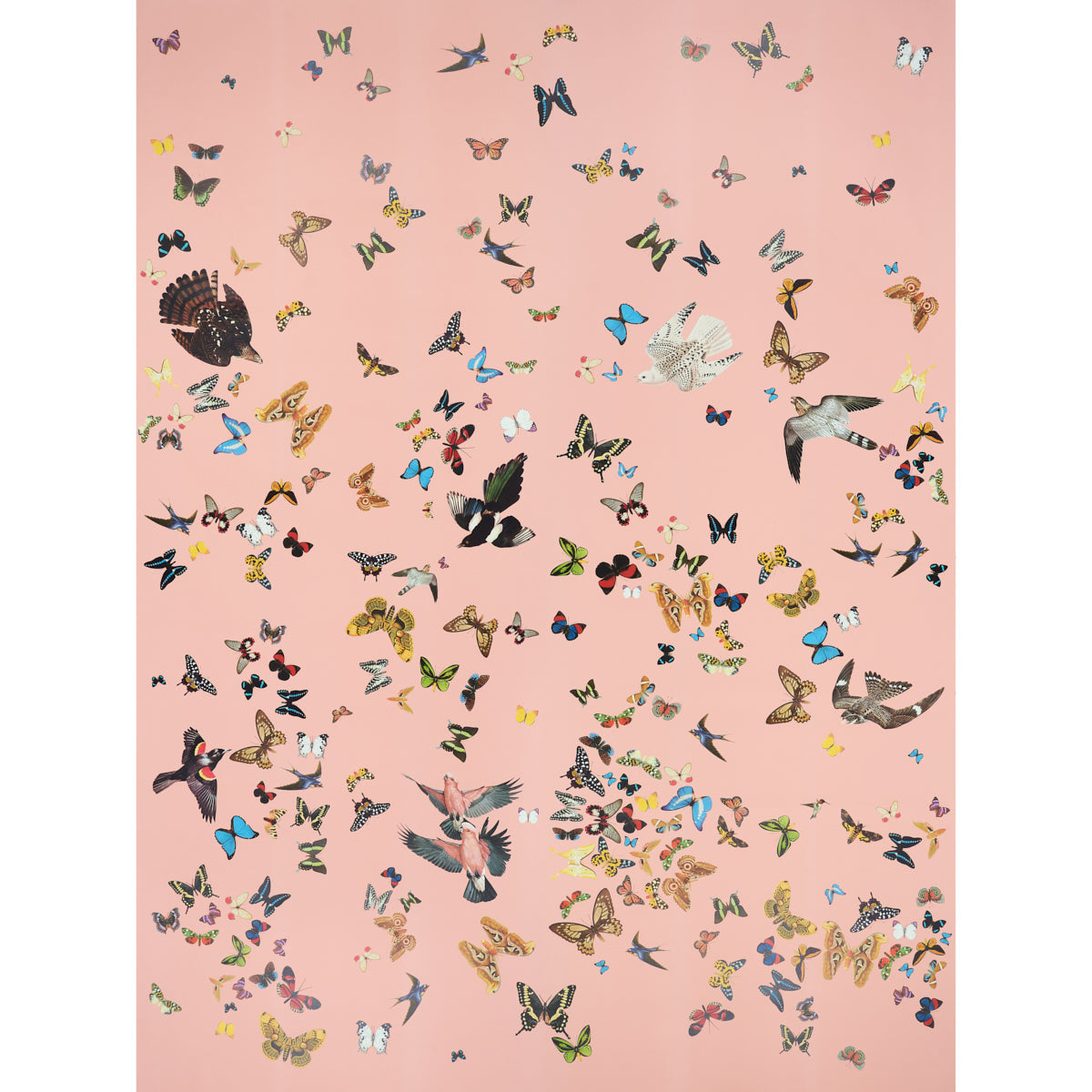 Schumacher | Queen's Flight Panel Set wallcovering - 5010864