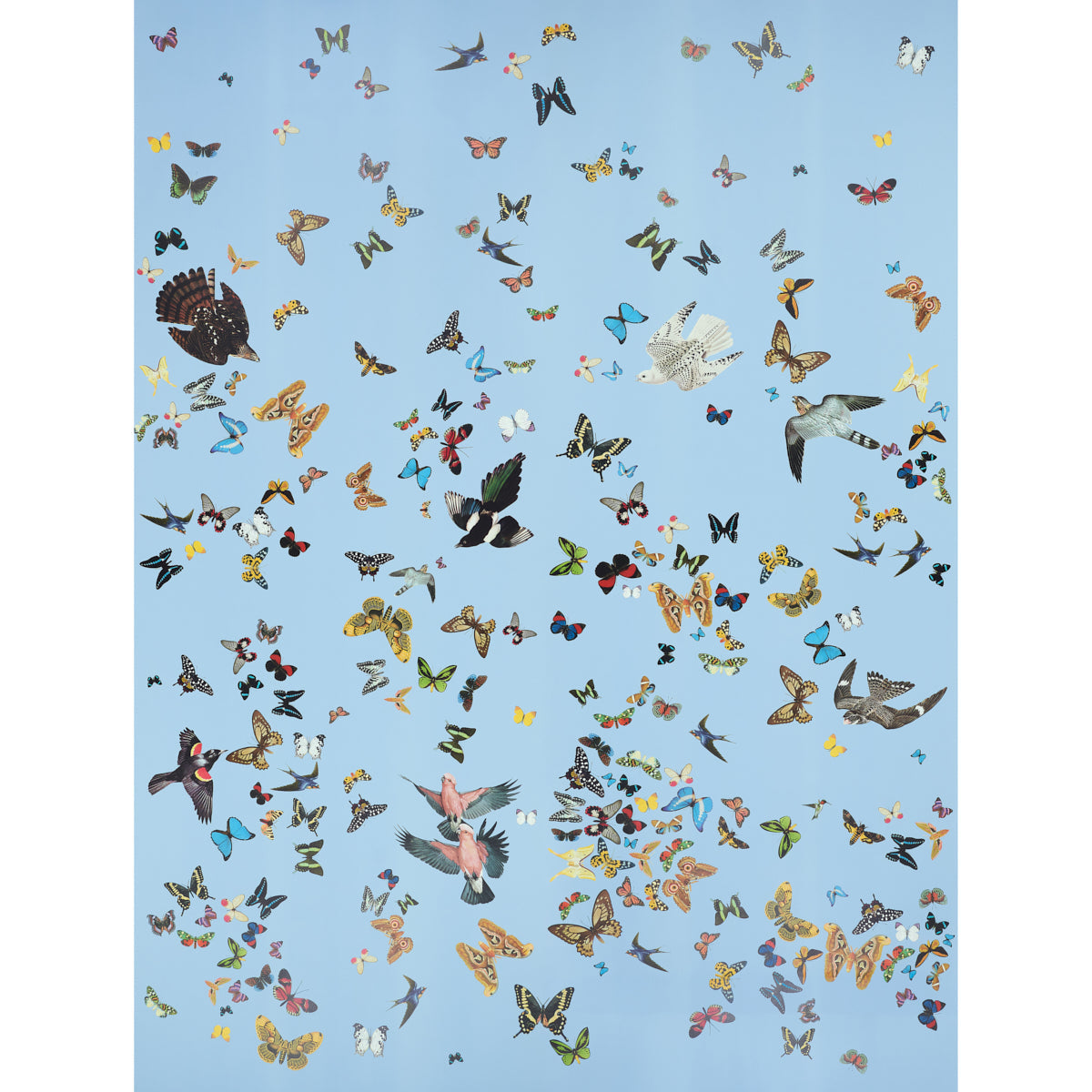 Schumacher | Queen's Flight Panel Set wallcovering - 5010865