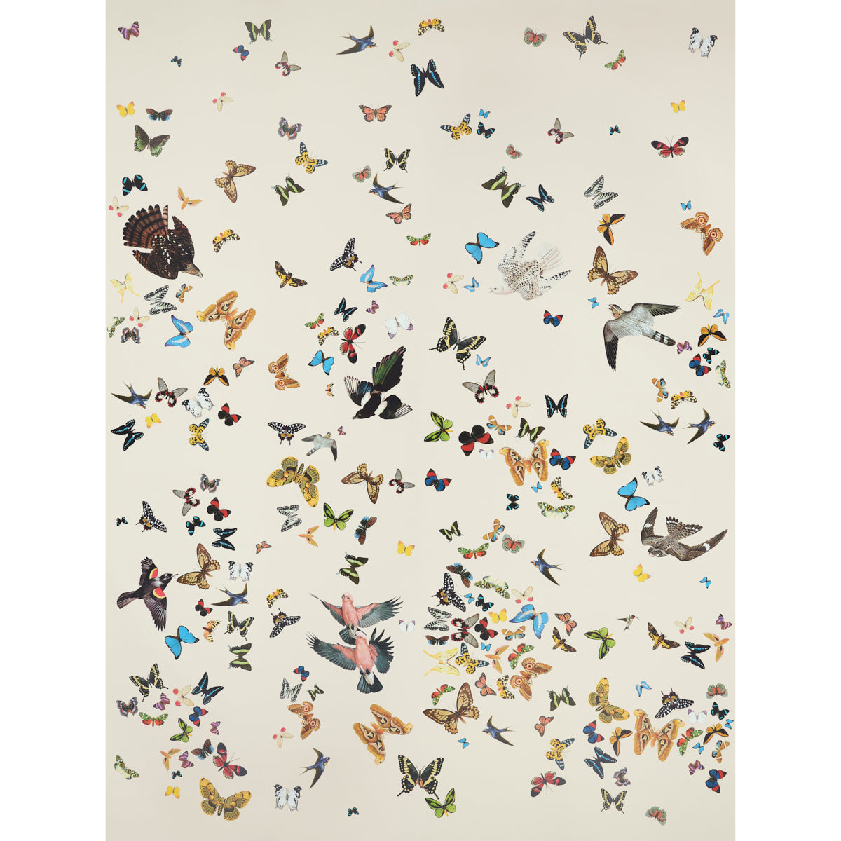 Schumacher | Queen's Flight Panel Set wallcovering - 5010866