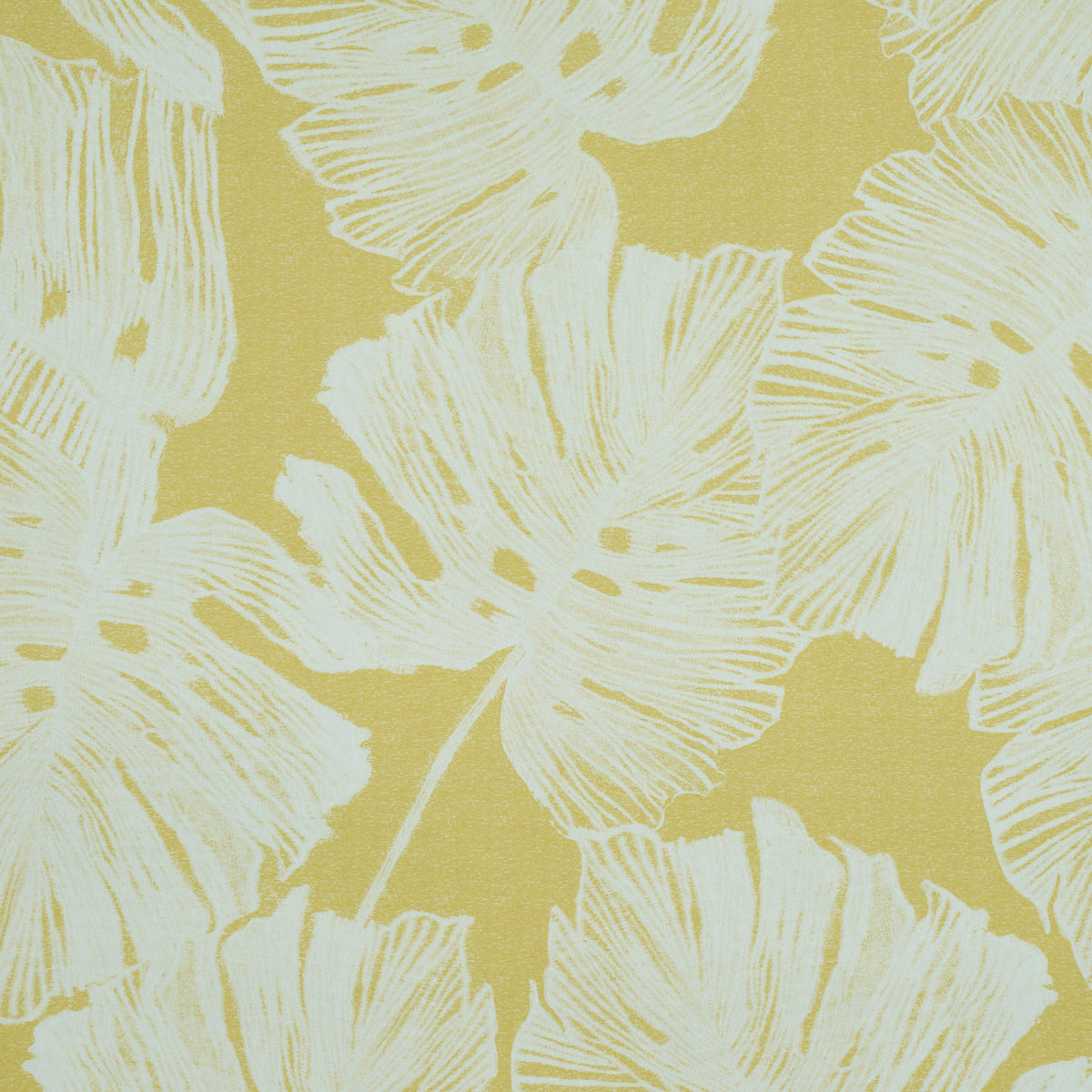 Schumacher | Del Coco wallcovering - 5011631