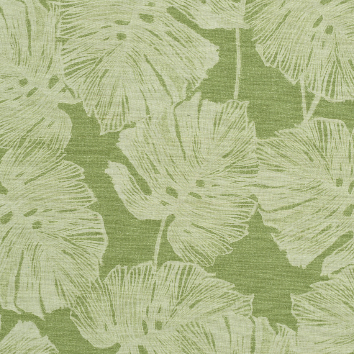 Schumacher | Del Coco Sisal wallcovering - 5011640