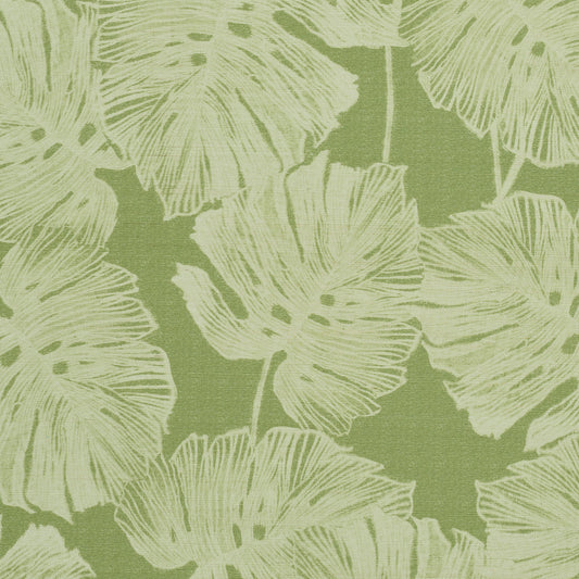 Schumacher | Del Coco Sisal wallcovering - 5011640