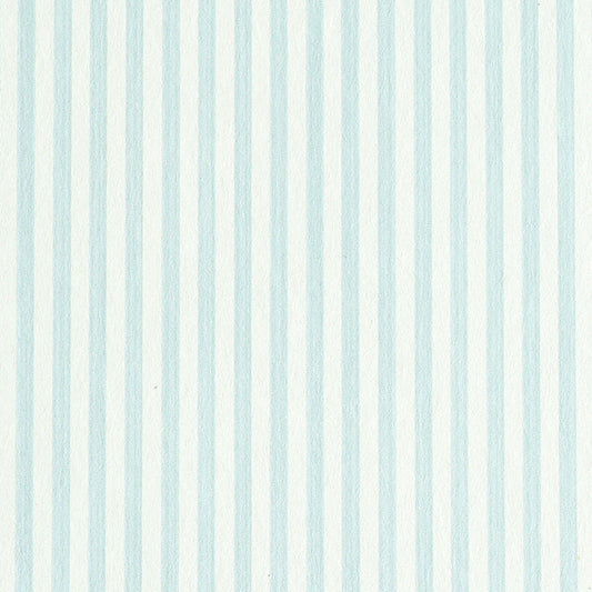 Schumacher | Edwin Stripe Narrow wallcovering - 5011860