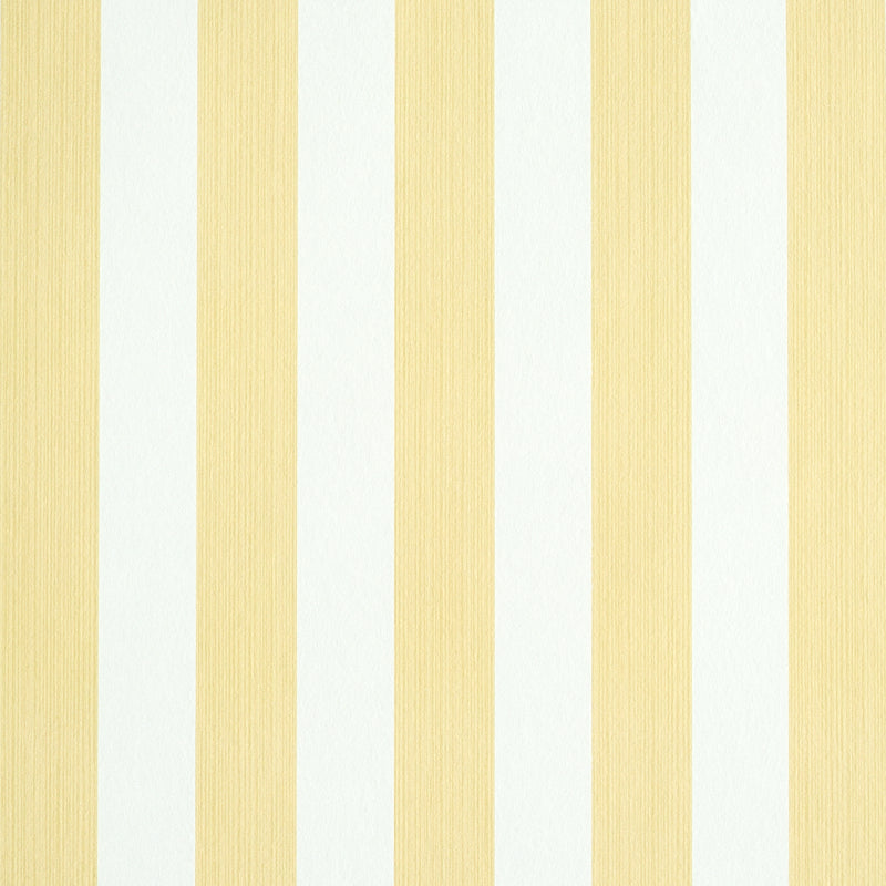 Schumacher | Edwin Stripe Medium wallcovering - 5011890
