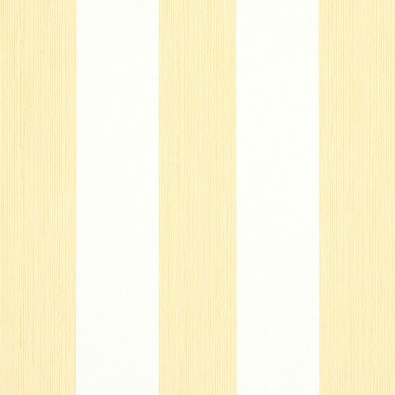 Schumacher | Edwin Stripe Wide wallcovering - 5011910