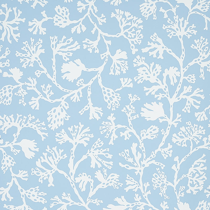 Schumacher | Anthoza wallcovering - 5012130