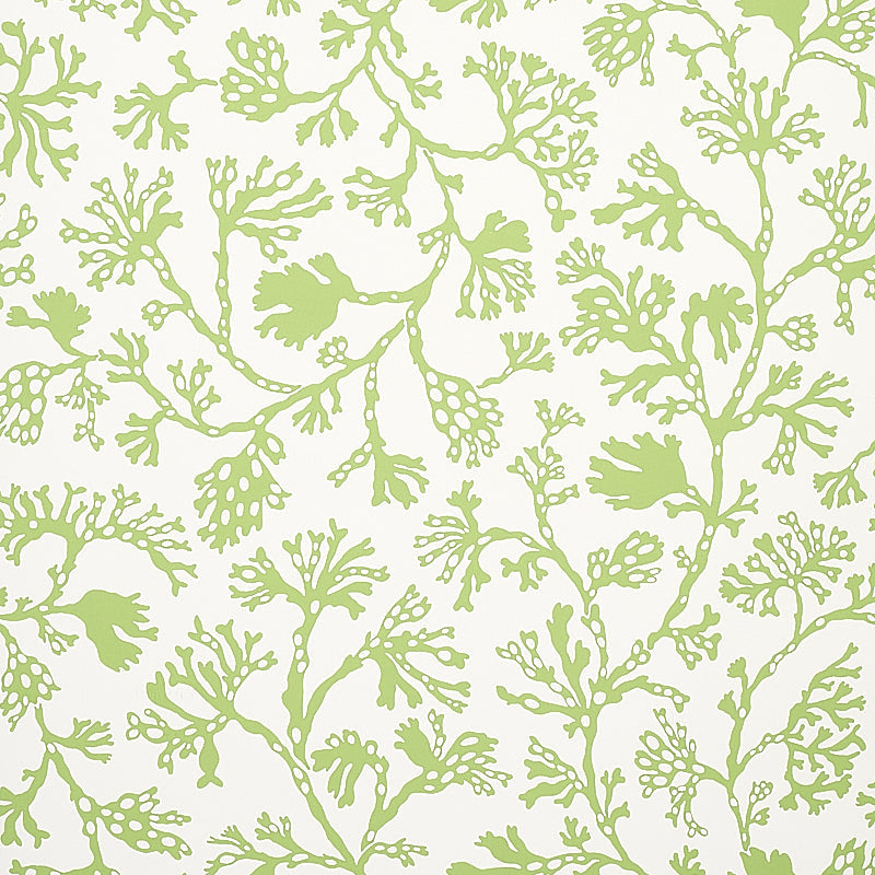 Schumacher | Anthoza wallcovering - 5012131