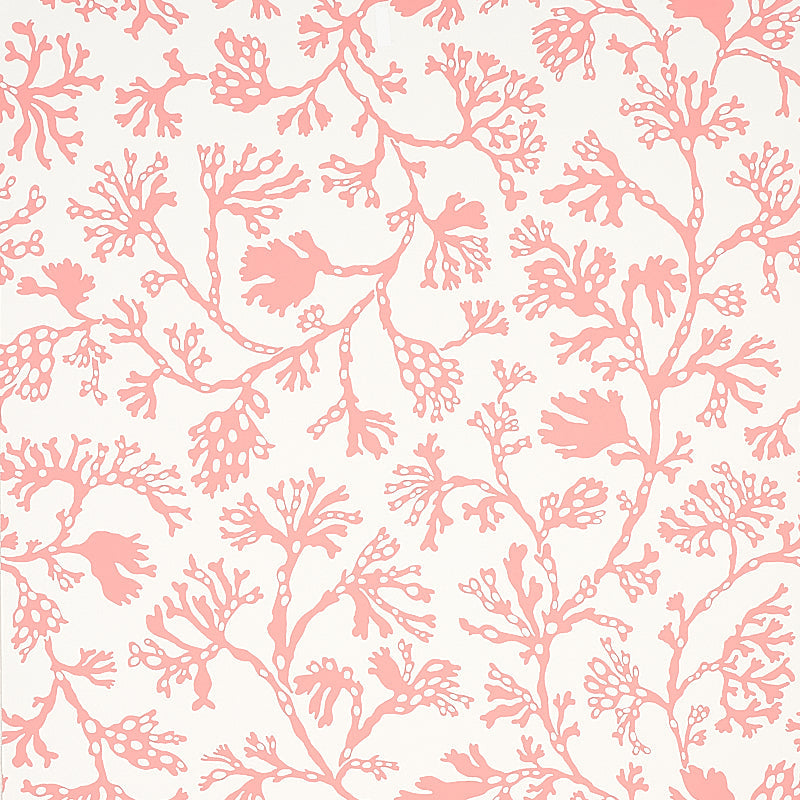 Schumacher | Anthoza wallcovering - 5012132