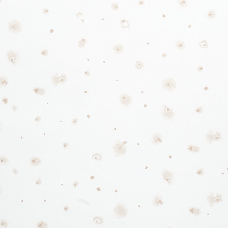 Schumacher | Stellar wallcovering - 5012190