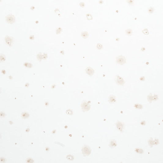 Schumacher | Stellar wallcovering - 5012190