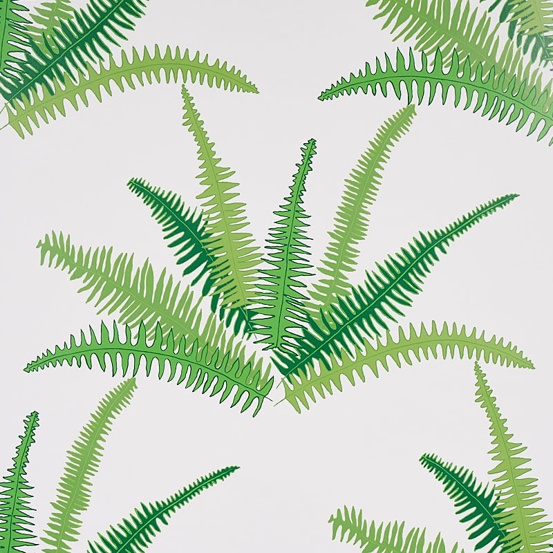 Schumacher | Canyon Ferns wallcovering - 5012621