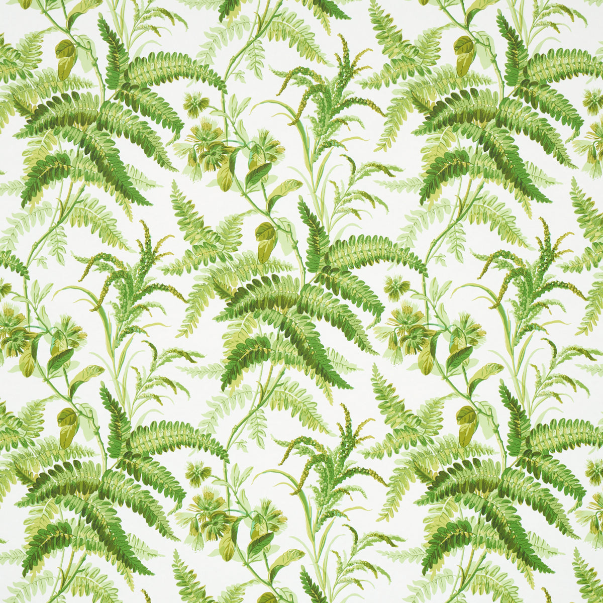 Schumacher | Myers Fern wallcovering - 5013231
