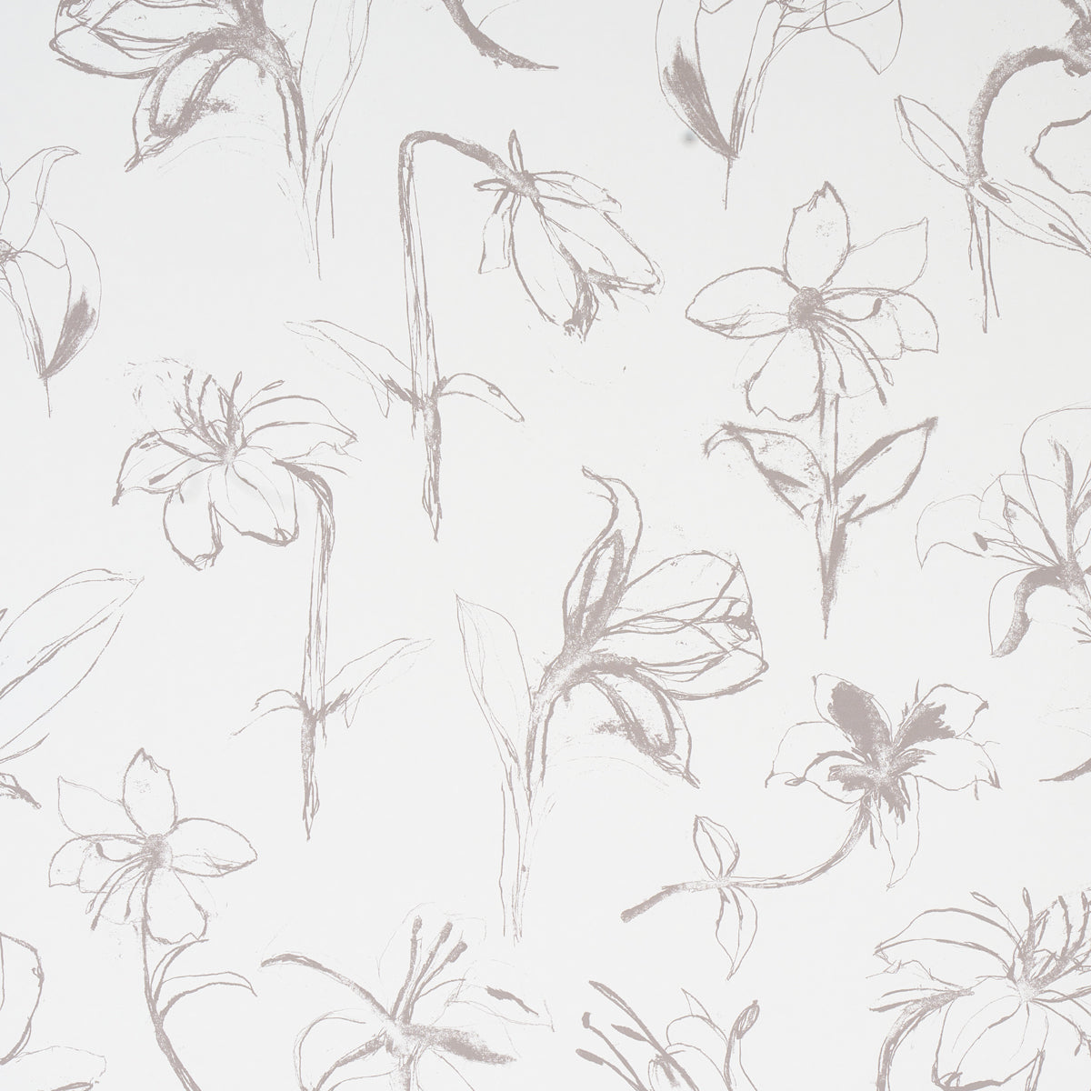 Schumacher | Close Your Eyes and Remember wallcovering - 5014080
