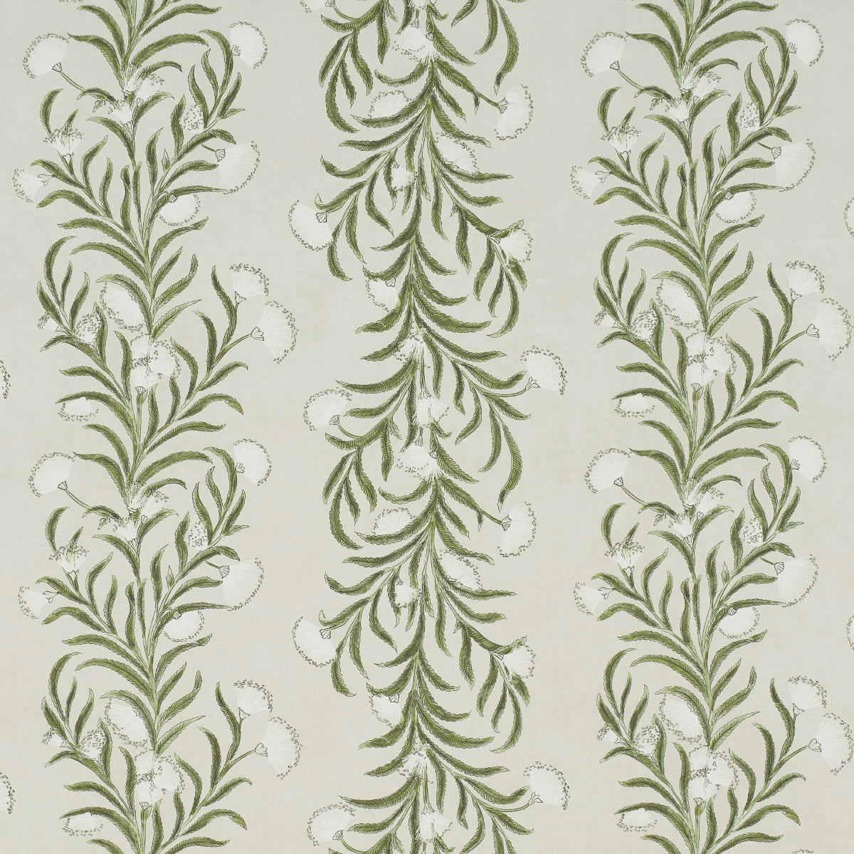 Schumacher | Tasmanian Mimosa wallcovering - 5015362