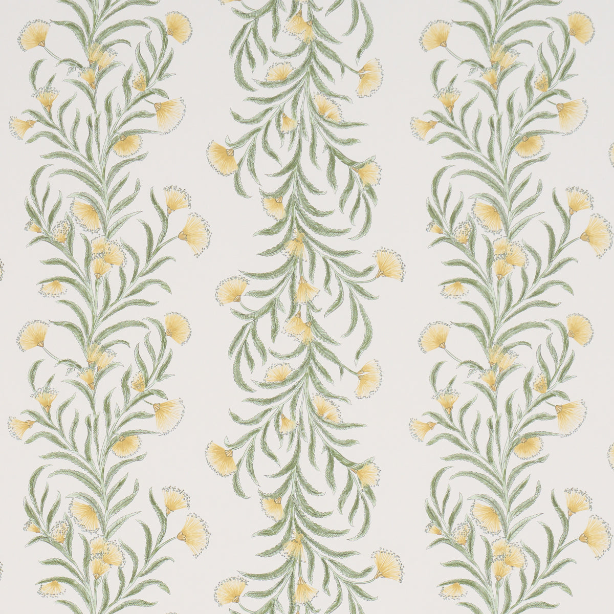 Schumacher | Tasmanian Mimosa wallcovering - 5015365