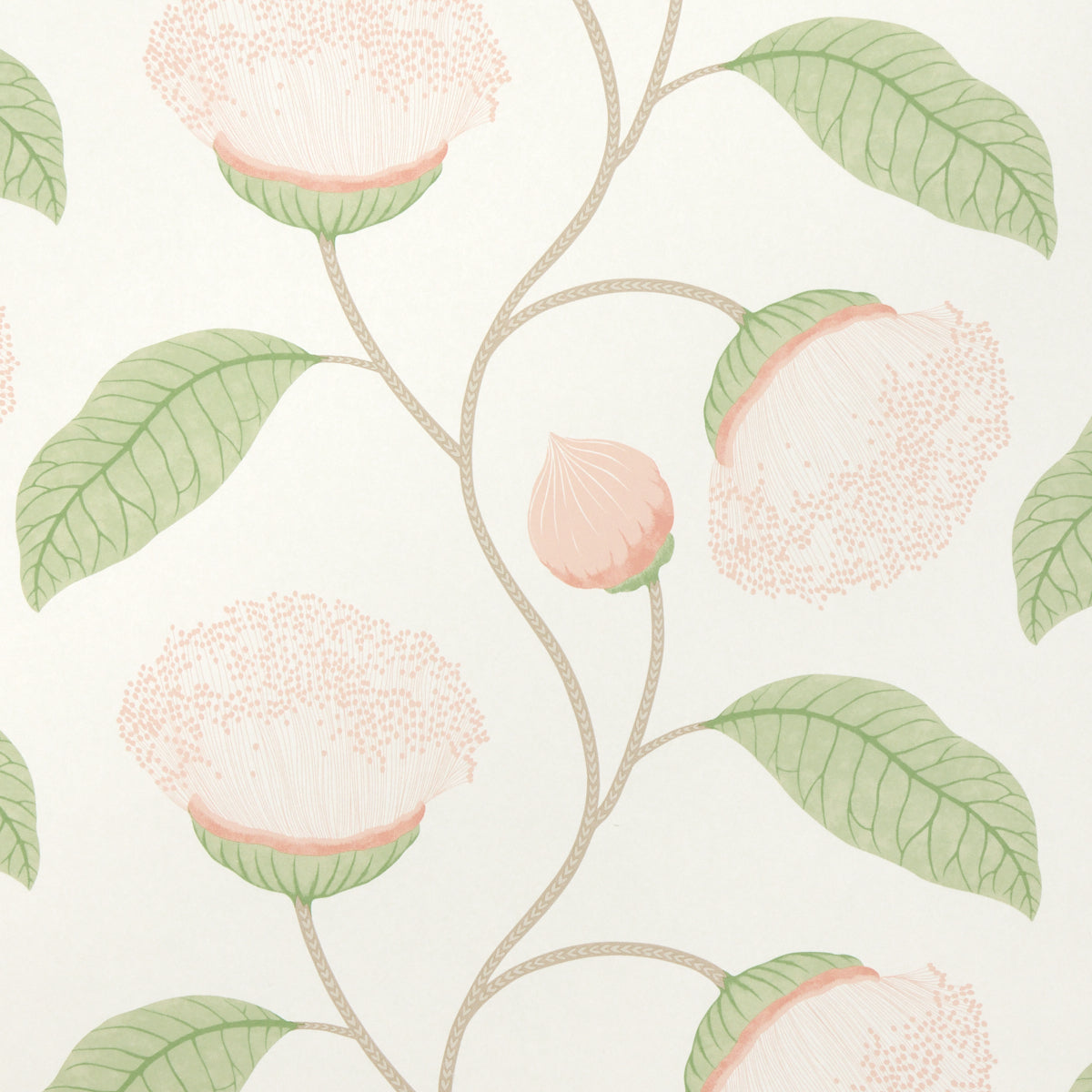 Schumacher | Celinda wallcovering - 5016360