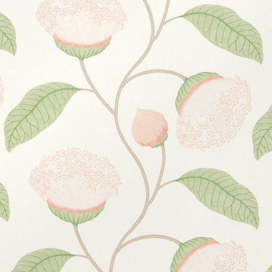 Schumacher | Celinda wallcovering - 5016360