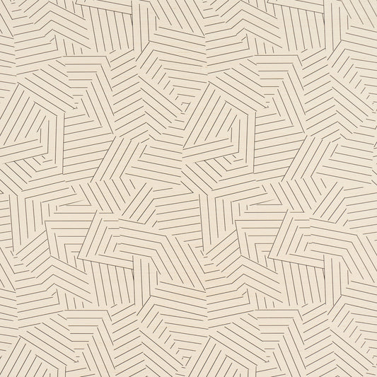 Schumacher | Deconstructed Stripe Sisal wallcovering - 5016580