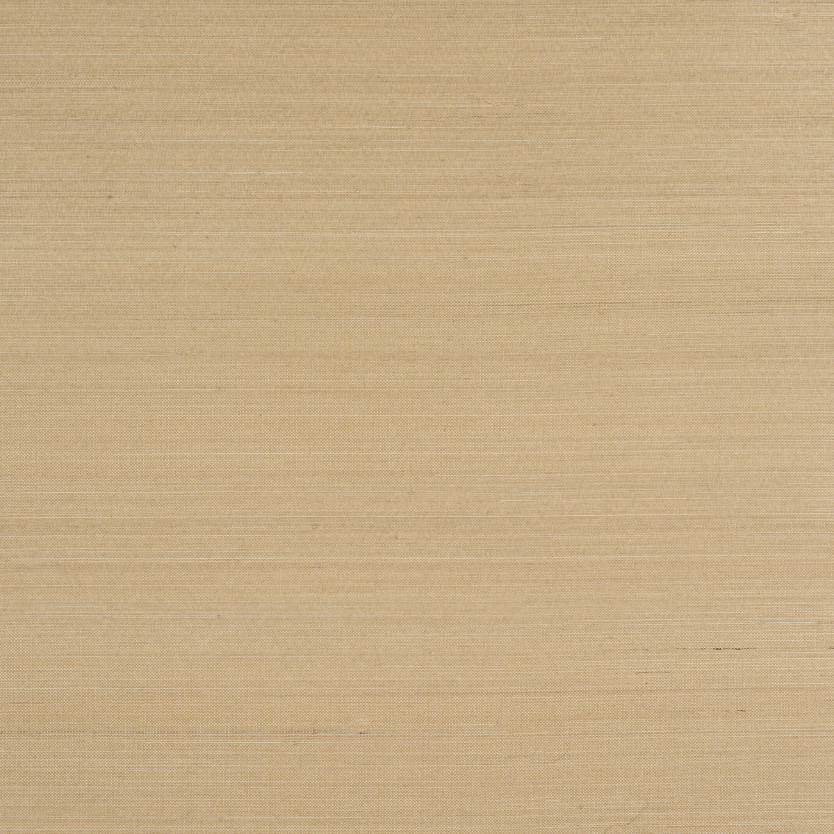 Schumacher | Musa Abaca Wallcovering wallcovering - 5016873