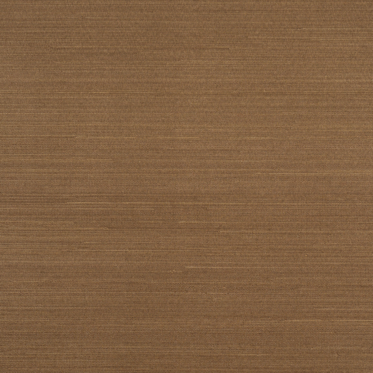 Schumacher | Musa Abaca Wallcovering wallcovering - 5016875