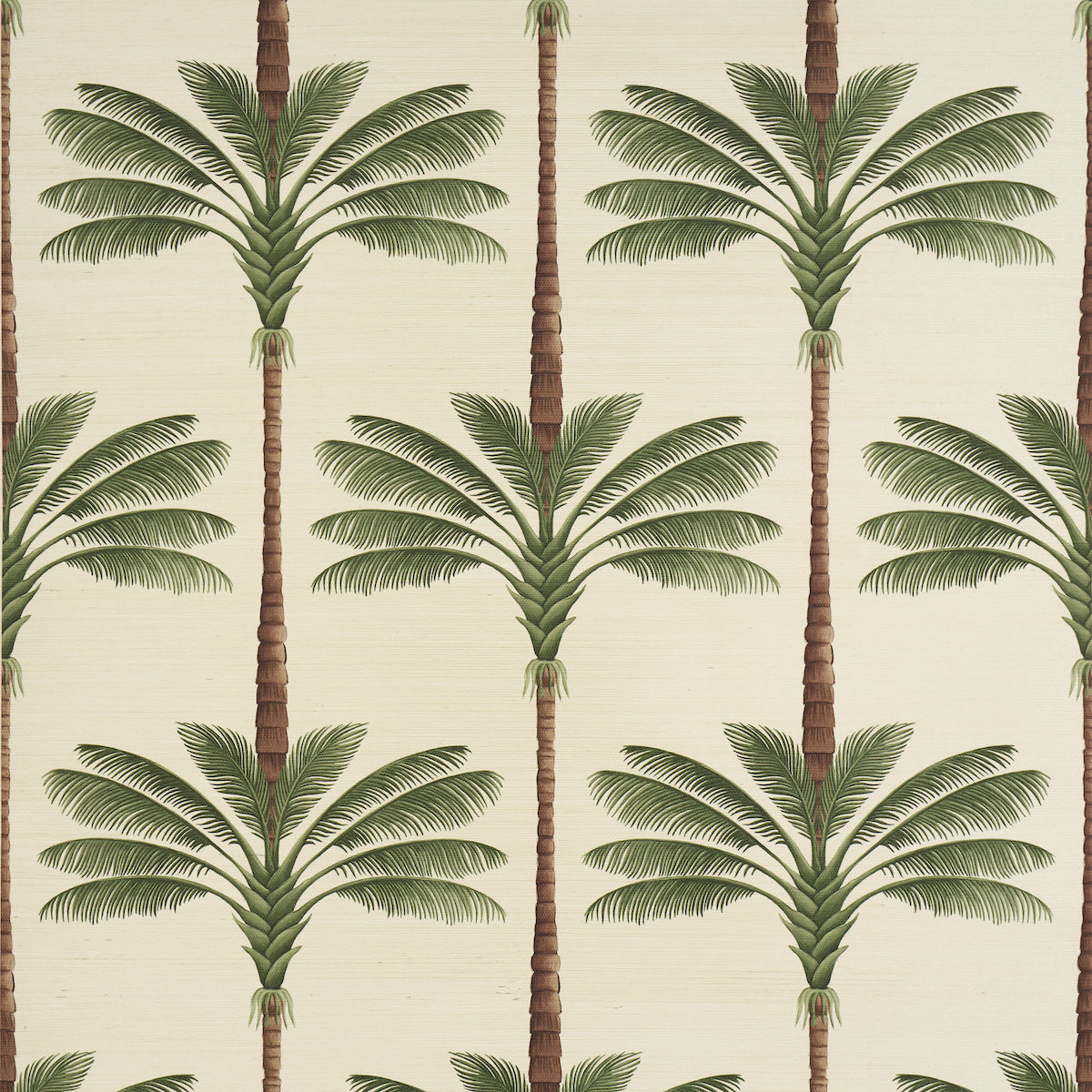 Schumacher | A Palm Is a Palm Sisal wallcovering - 5016961