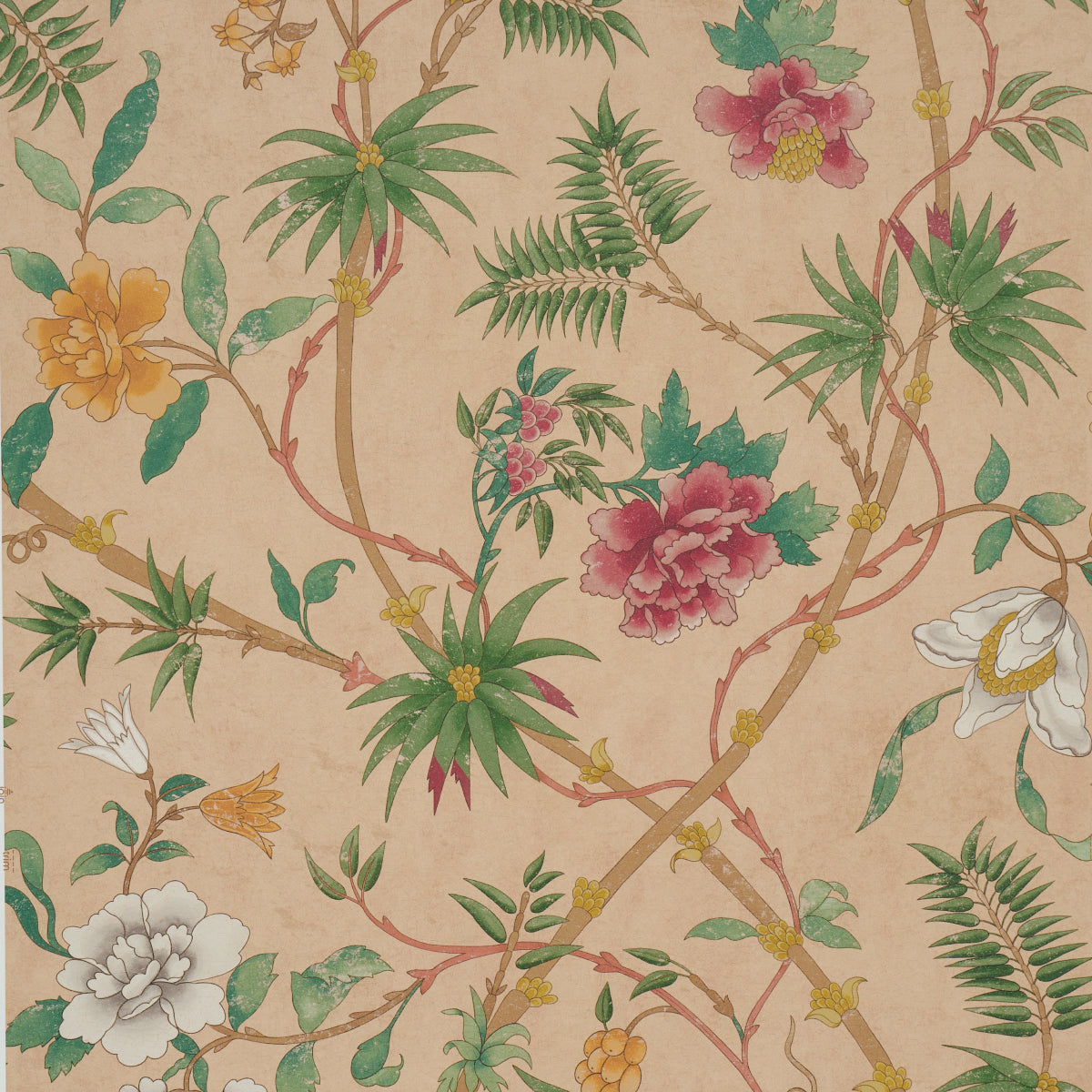 Schumacher | Arasi Botanical wallcovering - 5017170