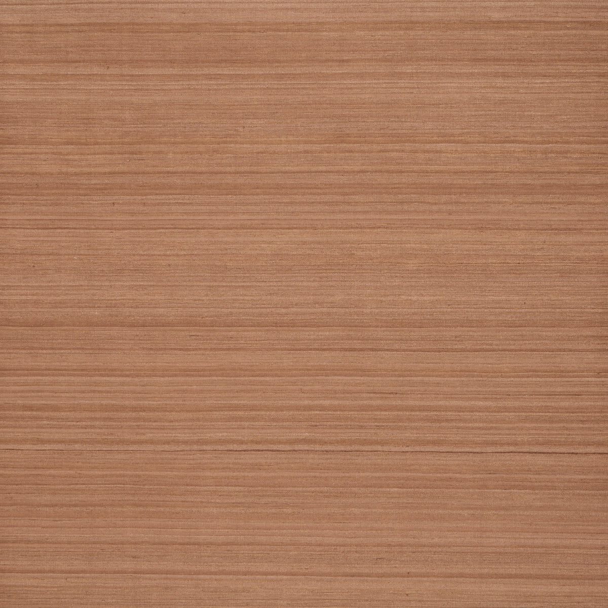 Schumacher | Shaded Silk wallcovering - 5017781
