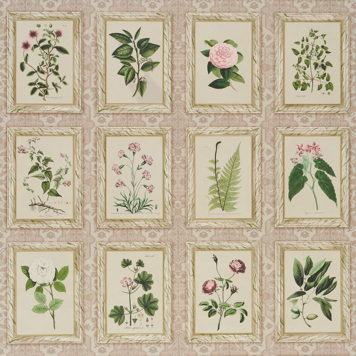Schumacher | Garden's Trust wallcovering - 5018310