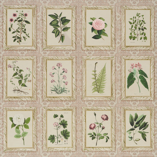 Schumacher | Garden's Trust wallcovering - 5018310