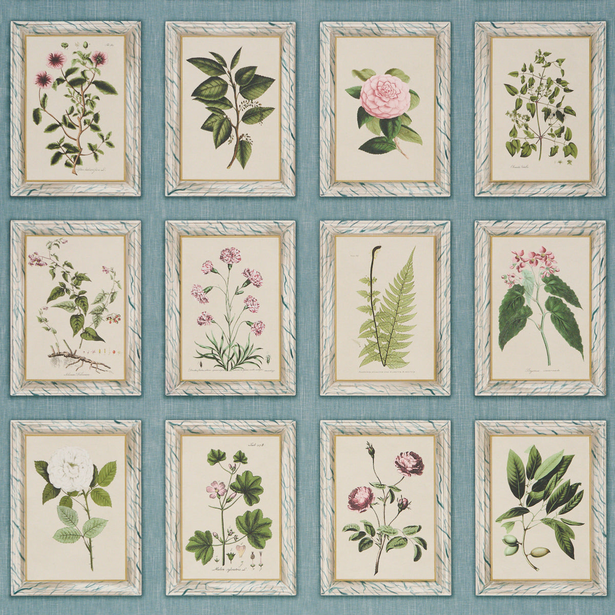 Schumacher | Garden's Trust wallcovering - 5018312