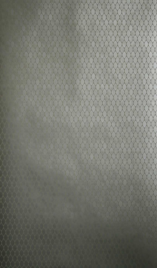 Nina Campbell | Gilty wallcovering - NCW4023-02