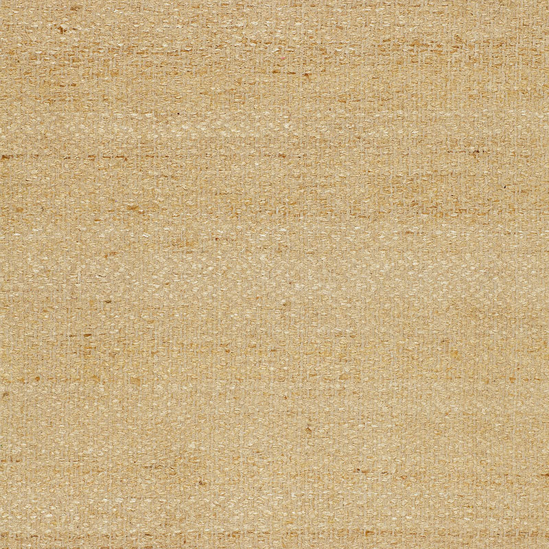 Schumacher | Vasur Silk Matka fabric - 51791