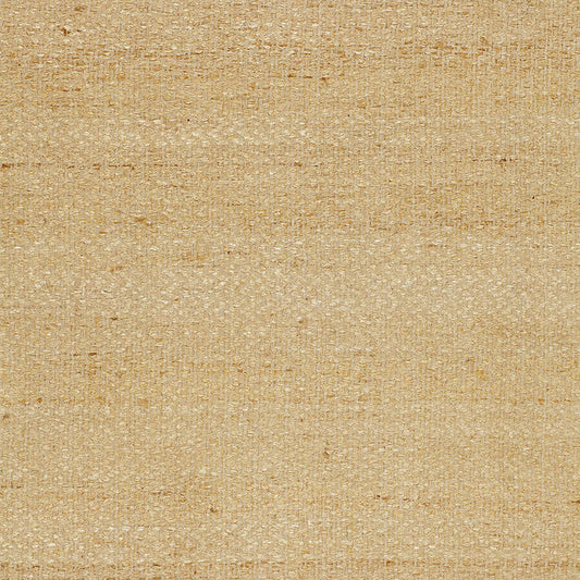Schumacher | Vasur Silk Matka fabric - 51791