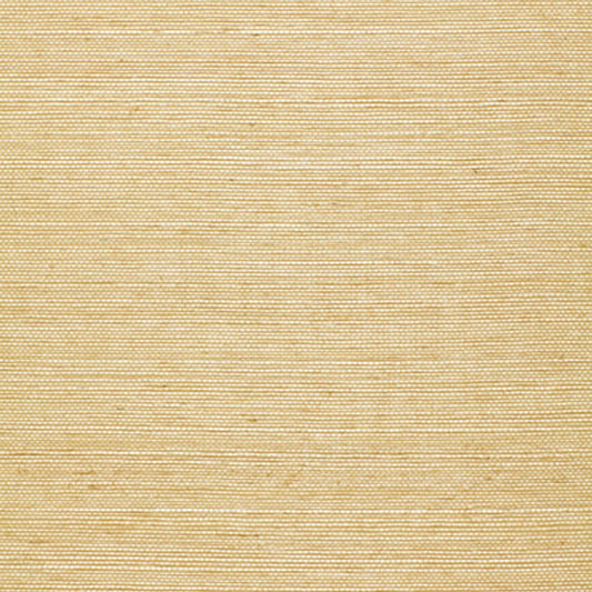 Schumacher | Ningbo Sisal wallcovering - 524310