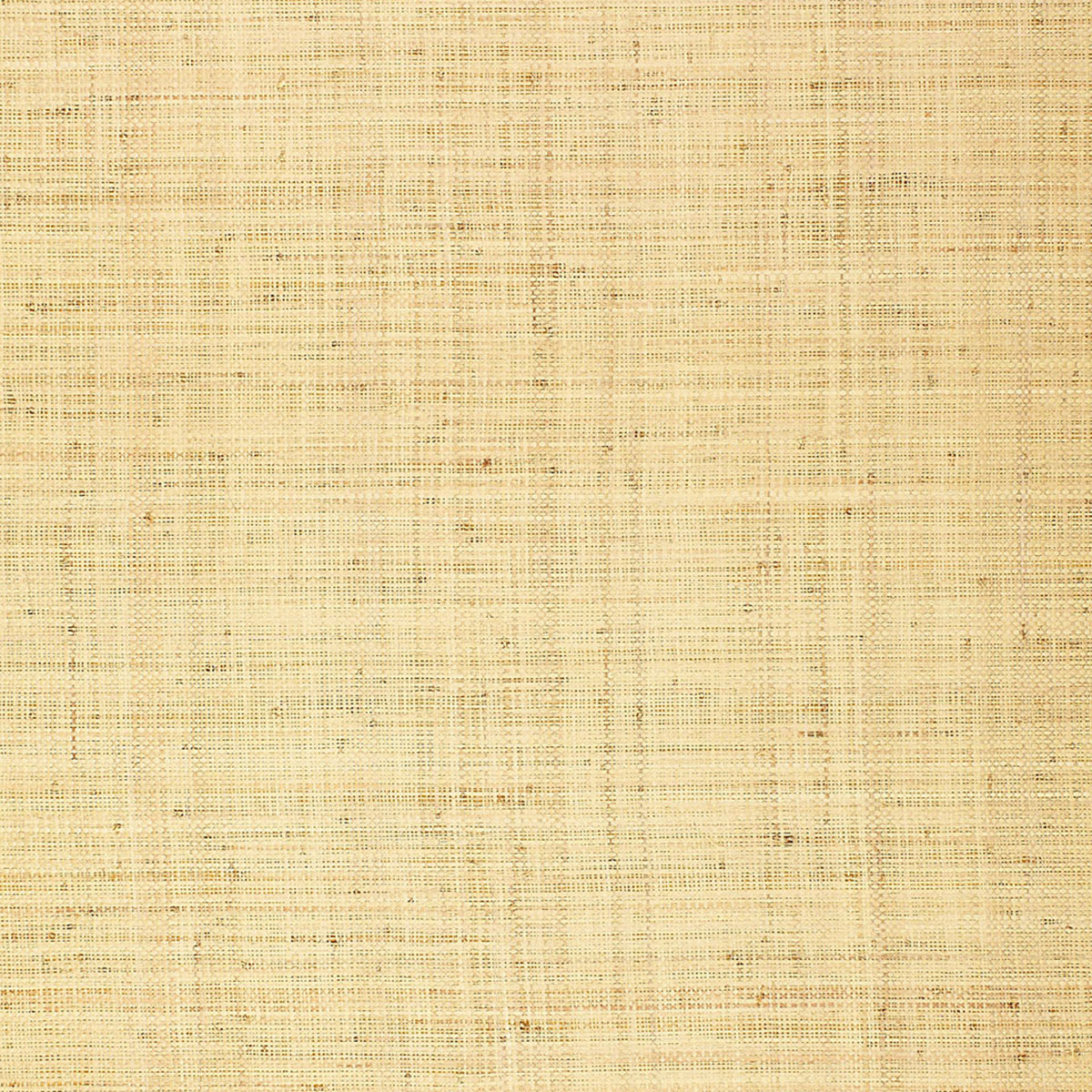Schumacher | Bellezza Ground wallcovering - 528944